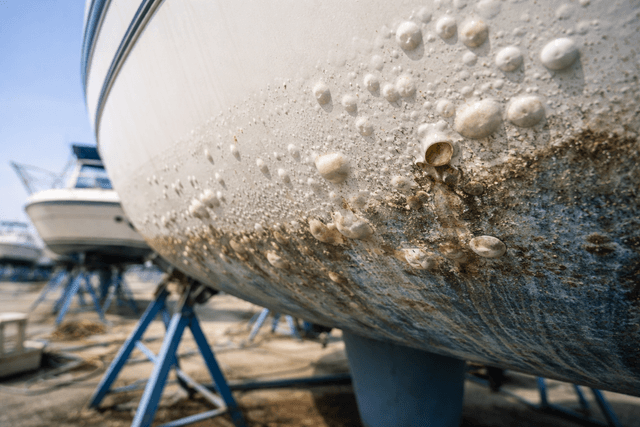 Osmosi nelle barche: cos’è, perché si forma e come prevenirla